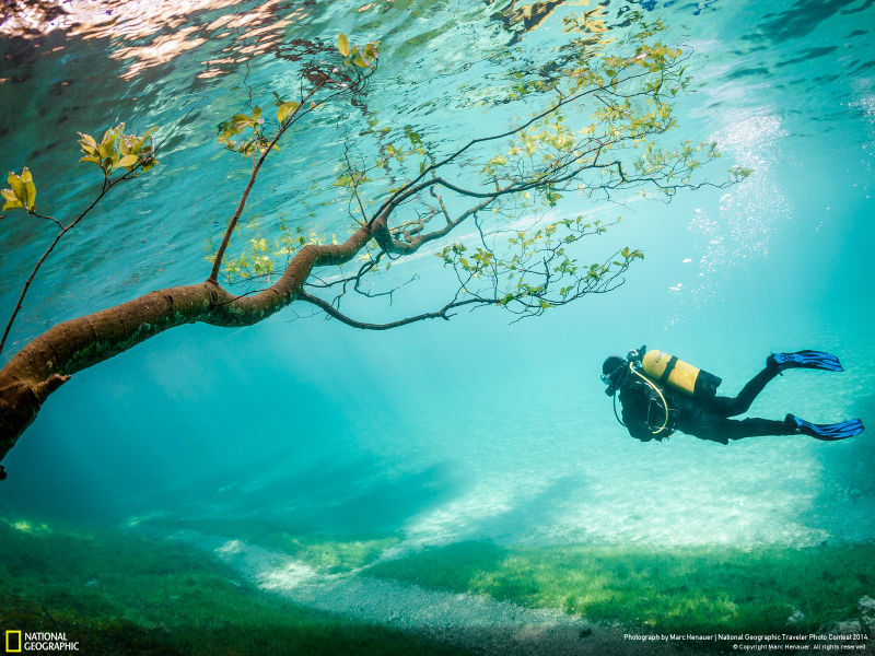 Illustration for article titled Wow, the winners of the National Geographic Photo Contest are unreal
